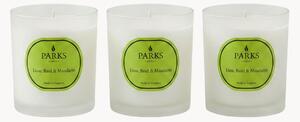 Set di 3 candele profumate fatte a mano Vintage Aromatherapy (lime, basilico e mandarino)