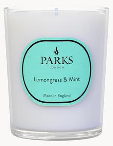 Candela profumata fatta a mano Vintage Aromatherapy (citronella, menta & agrumi)
