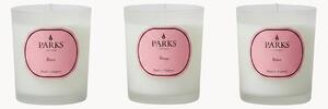 Set di 3 candele profumate fatte a mano Vintage Aromatherapy (acqua di rosa, fiori bianchi e muschio morbido)