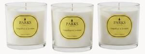 Set di 3 candele profumate fatte a mano Vintage Aromatherapy (pompelmo, gelsomino e muschio bianco)