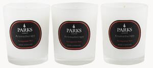 Set di 3 candele profumate fatte a mano Noir (melograno, ambra calda e legni morbidi)