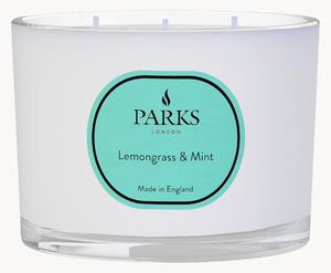 Candela profumata fatta a mano a tre stoppini Vintage Aromatherapy (citronella, menta e agrumi)