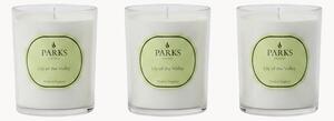 Set di 3 candele profumate fatte a mano Vintage Aromatherapy (mughetto, fiori bianchi e muschio bianco)