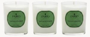 Set di 3 candele profumate fatte a mano Vintage Aromatherapy (rosmarino, bergamotto e lavanda)