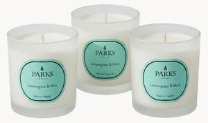 Set di 3 candele profumate fatte a mano Vintage Aromatherapy (citronella, menta e agrumi)