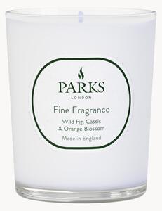 Candela profumata fatta a mano Fine Fragrance (fico selvatico, mirtillo nero e fior d'arancio)