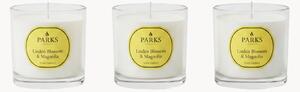 Set di 3 candele profumate fatte a mano Vintage Aromatherapy (fiore di tiglio, magnolia e muschio morbido)