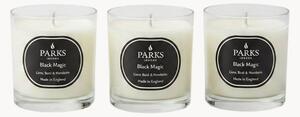 Set di 3 candele profumate fatte a mano Black Magic (lime, basilico & mandarino)