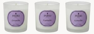 Set di 3 candele profumate fatte a mano Vintage Aromatherapy (lavanda, camomilla e muschio bianco)