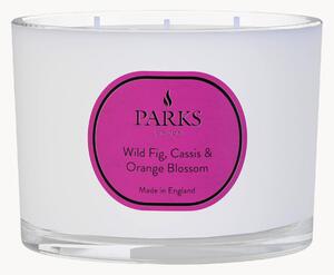 Candela profumata fatta a mano a tre stoppini Vintage Aromatherapy (fico selvatico, ribes nero e fior d'arancio)