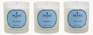 Set di 3 candele profumate fatte a mano Vintage Aromatherapy (giacinto, fiori verdi e muschio bianco)