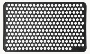 Zerbino Dot