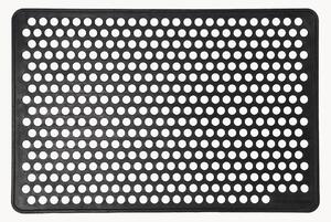Zerbino Dot