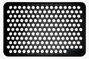 Zerbino Dot