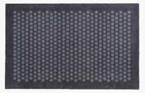 Zerbino Dot