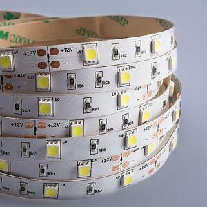 Striscia LED 5050 bianco freddo (6000k) 36W 500CM 12V IP20