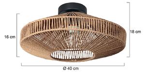 Anne Light Plafoniera soffitto Bloeba, dimmerabile, Nero, Soggiorno / Sala da pranzo, Metallo, Plafoniera