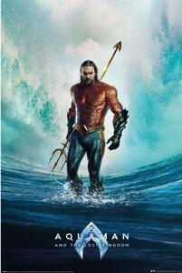 Posters, Stampe Aquaman and the Lost Kingdom - Tempest, (61 x 91.5 cm)