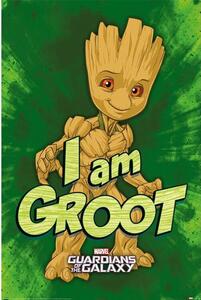 Posters, Stampe Guardians of the Galaxy - I am Groot, (61 x 91.5 cm)