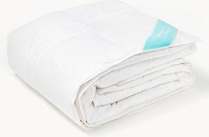 Westwing Tibor: piumino leggero 240 x 220 cm