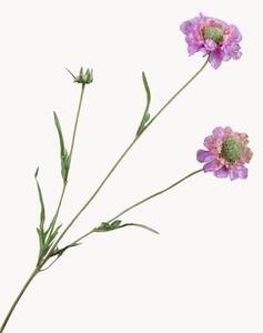 Fiori artificiali Scabiosa, set da 2