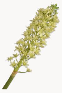 Set di 2 fiori artificiali fatti a mano Eucomis
