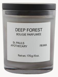 Candela profumata Deep Forest (arancio, rosa bianca, legno di cedro e patchouli)