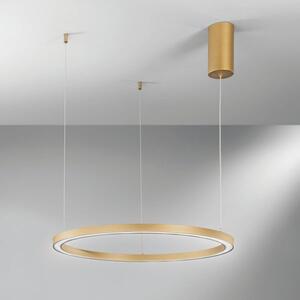 Sospensione led hoop oro 30w 4500lm cct 60x60x150cm led-hoop-s60-oro