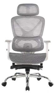 SevenComfort Sedia da ufficio ergonomica con poggiapiedi Braccioli e poggiatesta 3D Schienale regolabile Rivestimento in rete traspirante Grigio