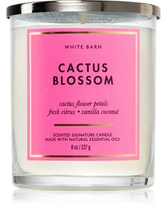 Bath & Body Works Cactus Blossom candela profumata 227 g