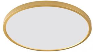 Zuma Line Cami plafoniera 1x36 W bianco-oro WM-BP1108-S-G