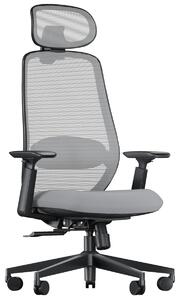 Sedia ergonomica da ufficio - Seduta scorrevole - Poggiatesta 3D - Grigio