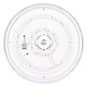 Plafoniera LED 24W IP44 Ø325mm Sensore Microonde da soffitto e parete Colore Bianco Naturale 4.000K