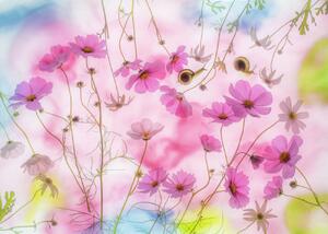 Fotografia artistica Autumn dream, Miharu, (40 x 30 cm)