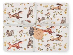 Tovagliette in set in sughero 4 pz 21x29 cm Forest Fable – Cooksmart ®