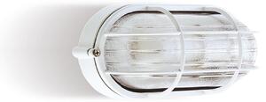 Plafoniera in termoplastico Piccola INDUSTRIALE OVALE CON Gabbia in alluminio Dimensioni 2,13x8,8xh 10,7 cm - E 27 IP 54 Diffusore in vetro stampato trasparente Bianco