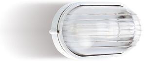 Plafoniera in termoplastico Piccola INDUSTRIALE OVALE Senza Gabbia in alluminio Dimensioni 2,13x8,8xh 10,7 cm - E 27 IP 54 Diffusore in vetro stampato trasparente Bianco