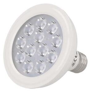 Gea Led Lampadina Led E27 12W Luce Calda 2700K