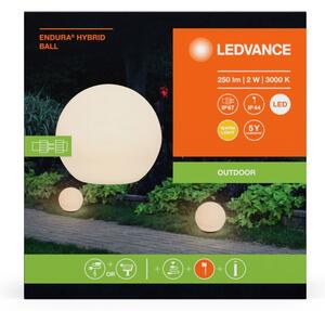 Ledvance - Lampada LED da esterno BALL LED/2W/12V IP44
