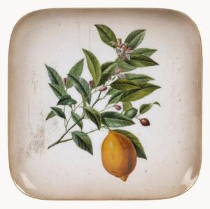 Vassoio Lemon Tree