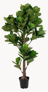 Pianta artificiale XXL Fiddle
