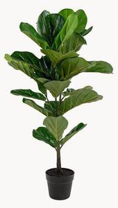 Pianta artificiale Fiddle