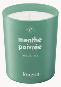 Candela profumata Menthe Poivrée (menta, salvia)