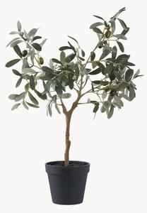 Pianta artificiale Olive