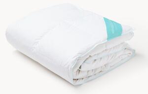 Piumino in piuma d'oca Comfort, extra leggero