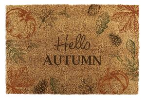 Zerbino in fibre di cocco 40x60 cm Hello Autumn – Artsy Doormats