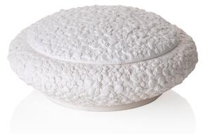 Cofanetto 