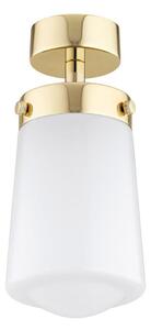 Argon 8005 - Surface-mounted lampadario PASADENA 1xE27/15W/230V oro/bianco