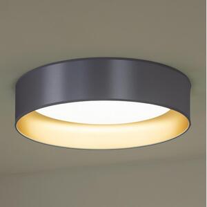 Duolla - Plafoniera LED ROLLER LED/24W/230V argento/oro