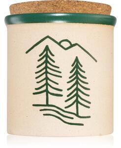 Paddywax Cypress & Fir Dune candela profumata green 226 g